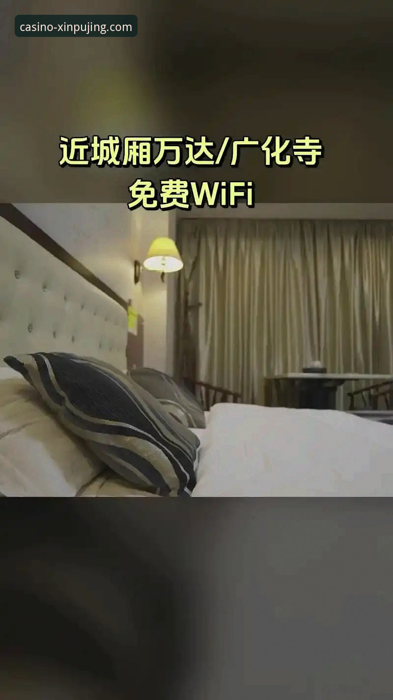 新莆京娱乐平台体育赛事评测详解：体验、数据与趋势分析